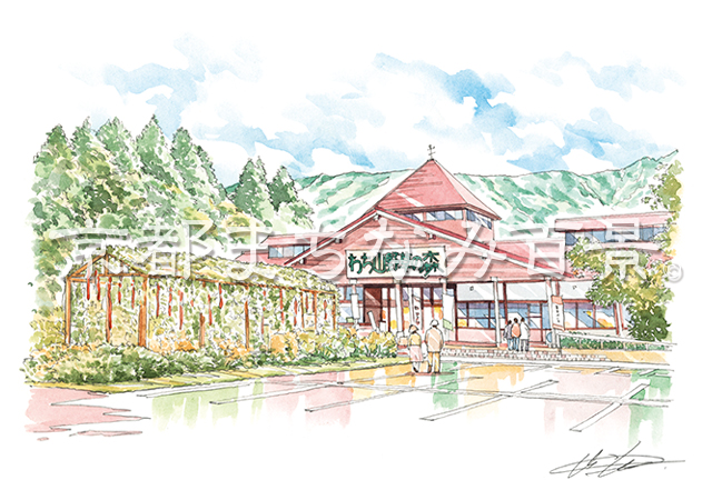 わち山野草の森